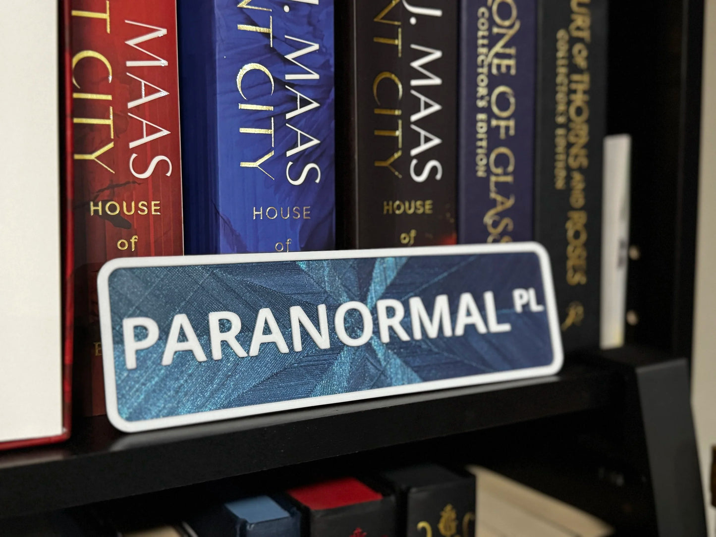 This Way to Bookish Street - Street Signs